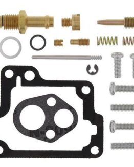 Carburetor Rebuild Kit
