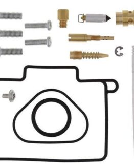 Carburetor Rebuild Kit