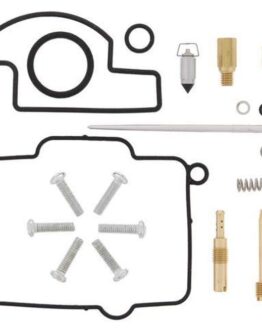 Carburetor Rebuild Kit