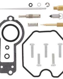 Carburetor Rebuild Kit