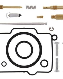 Carburetor Rebuild Kit