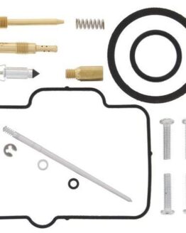 Carburetor Rebuild Kit