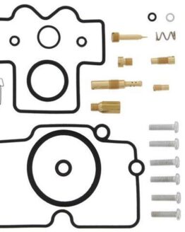 Carburetor Rebuild Kit