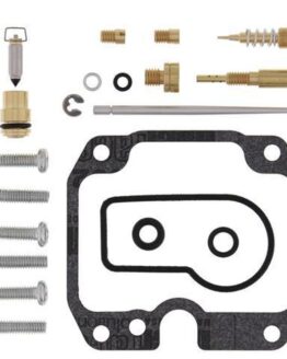Carburetor Rebuild Kit