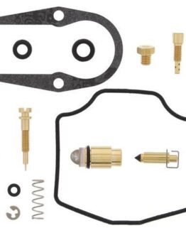 Carburetor Rebuild Kit