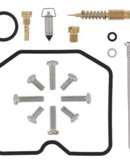 Carburetor Rebuild Kit
