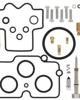 Carburetor Rebuild Kit