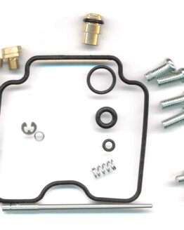 Carburetor Rebuild Kit