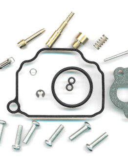 Carburetor Rebuild Kit