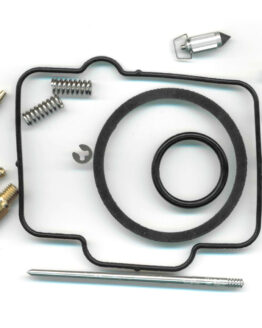 Carburetor Rebuild Kit