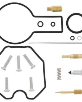 Carburetor Rebuild Kit