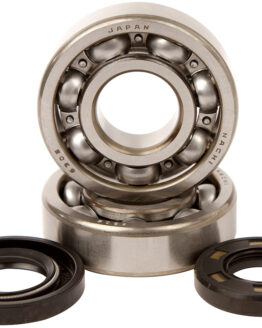 Hot Rods Bearing/Seal Kit Kx250 80-86