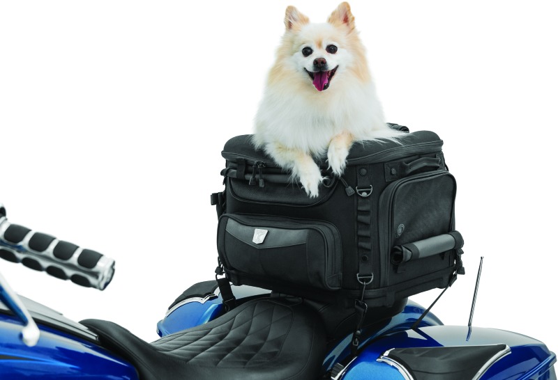 Kuryakyn Grand Pet Palace Motorcycle Pet Carrier - Image 10