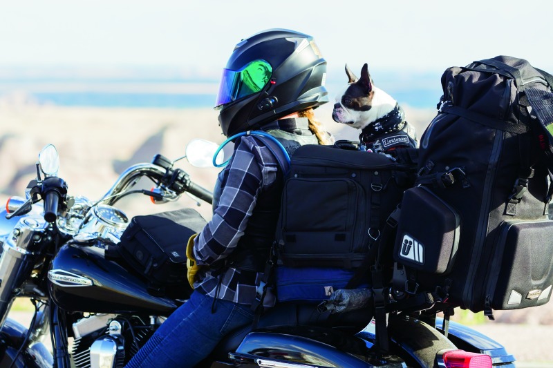 Kuryakyn Grand Pet Palace Motorcycle Pet Carrier - Image 11