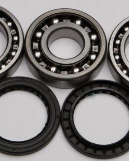 Rear Differential Bearing & Seal Kit