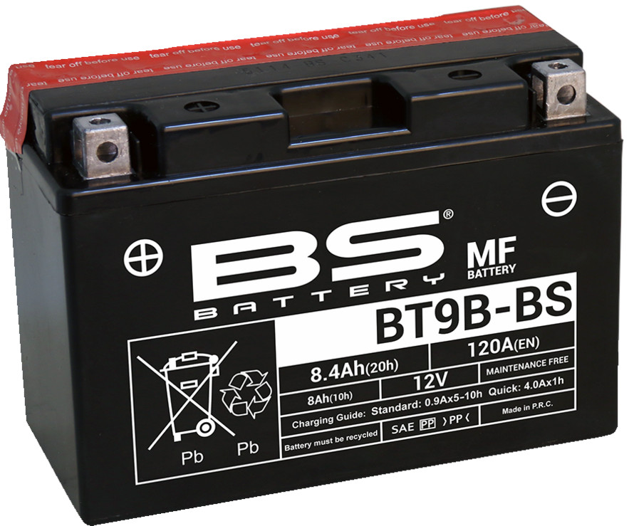 bs_300627.jpg bs_300627.jpg