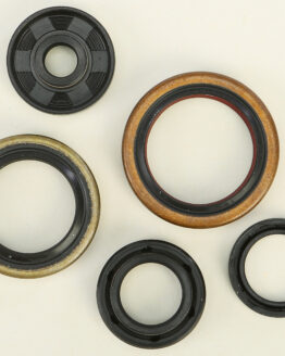 Oil Seal Kit