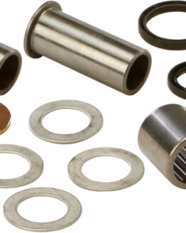 Swing Arm Bearing Kit
