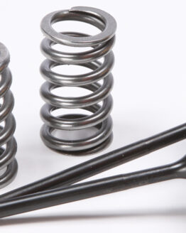 Steel Intake Valve/Spring Kit