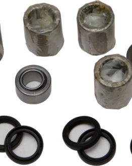 Swing Arm Linkage Bearing & Seal Kit