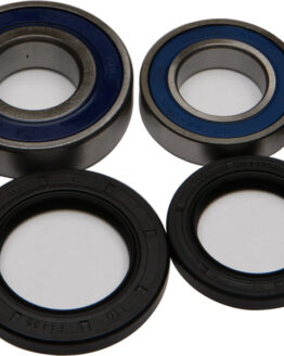 Rear Wheel Bearing Kit