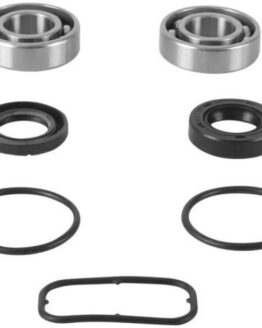 All Balls Racing Jet Pump Rebuild Kit