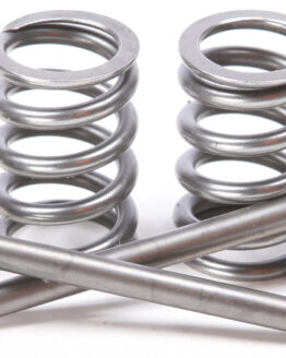 Steel Intake Valve/Spring Kit
