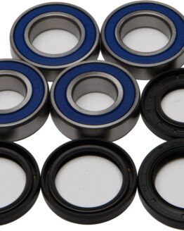 Wheel Bearing & Seal Kit