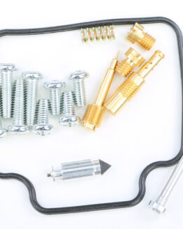 Carburetor Rebuild Kit