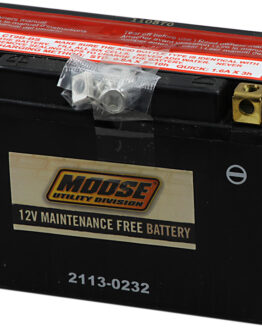 YT AGM Maintenance Free Battery 115CCA 12V 8Ah