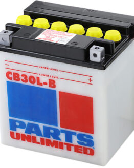 Heavy-Duty Battery 12V 30Ah