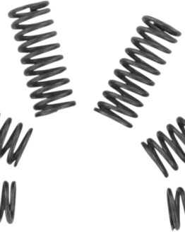 CSK Series Clutch Springs +15%