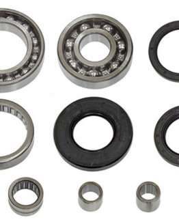 Bronco Differential Bearing & Seal Kit AT-03A25