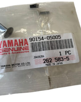 Yamaha Screw, Binding (8J0) 90154-05005-00