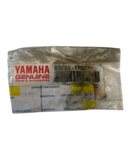 Yamaha Oil Seal (3Y1) 93101-17093-00